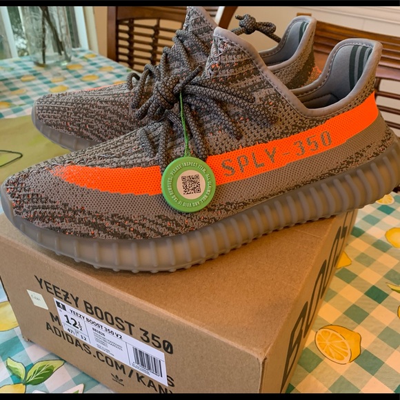adidas Other - Adidas Yeezy Boost 350 V2 Beluga Size 12.5